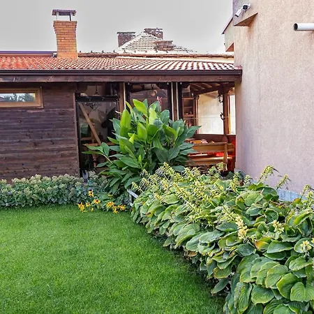 Comfort * מונטנה