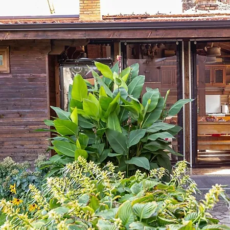 בית נופש Comfort מונטנה